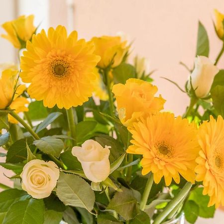 Ferienhof Sauter Lindau Neukirch  Ngoại thất bức ảnh